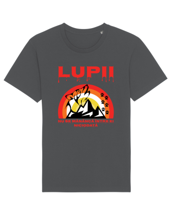 Lupii Anthracite