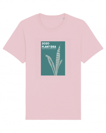 2020 Plant Idea Cotton Pink
