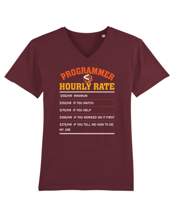 pentru programatori - Programmer hourly rate Burgundy