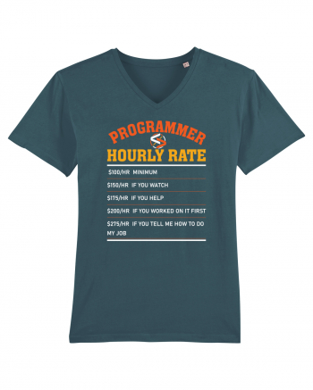 pentru programatori - Programmer hourly rate Stargazer