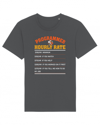 pentru programatori - Programmer hourly rate Anthracite