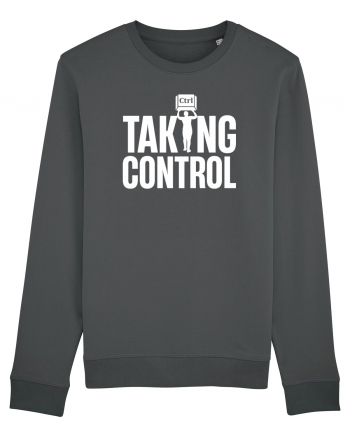 pentru programatori - Taking control Anthracite