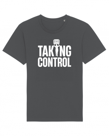 pentru programatori - Taking control Anthracite