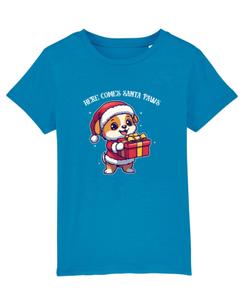 HERE COMES SANTA PAWS! ok Azur