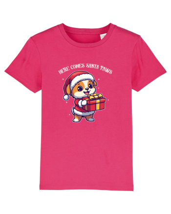 HERE COMES SANTA PAWS! ok Raspberry