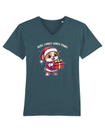 HERE COMES SANTA PAWS! ok Tricou mânecă scurtă guler V Bărbat Presenter