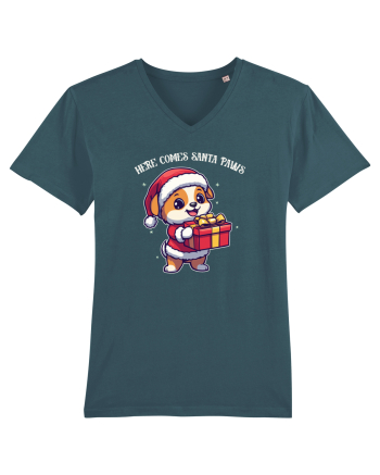 HERE COMES SANTA PAWS! ok Stargazer