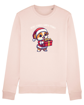 HERE COMES SANTA PAWS! ok Candy Pink