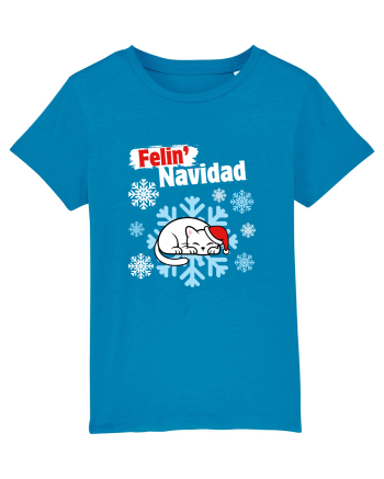 Funny Christmas Cat Azur