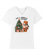 cu ursuleți si urări de Crăciun - Have a wonderful Christmas Tricou mânecă scurtă guler V Bărbat Presenter