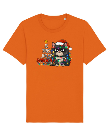 de Crăciun cu pisici rebele - Is this jolly enough Bright Orange