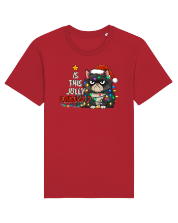 de Crăciun cu pisici rebele - Is this jolly enough Red