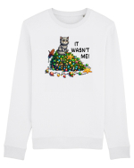 de Crăciun cu pisici rebele - It was not me Bluză mânecă lungă Unisex Rise