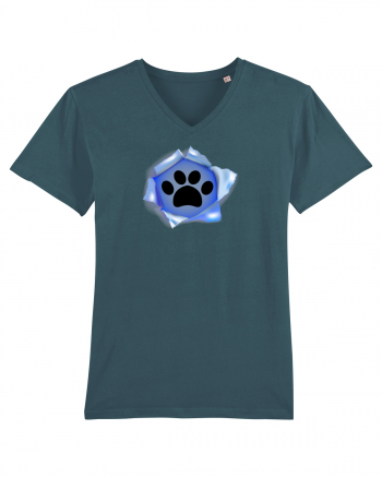 Dog footprint Stargazer