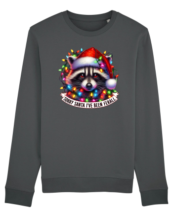 nonconformist de Crăciun - Sorry Santa I have been ferral Anthracite