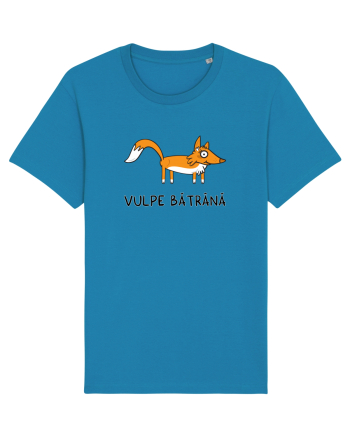Vulpe bătrână Azur