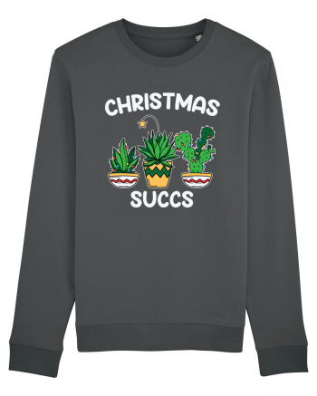 Christmas Succs Anthracite