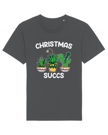 Christmas Succs Anthracite