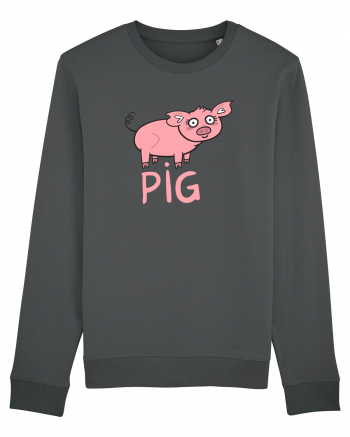 Pig Anthracite