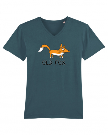 Old Fox Stargazer