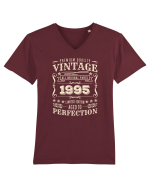 Premium quality vintage 1995 - Cadou aniversar 1995 Tricou mânecă scurtă guler V Bărbat Presenter