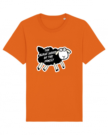 Black Sheep of the family Bright Orange