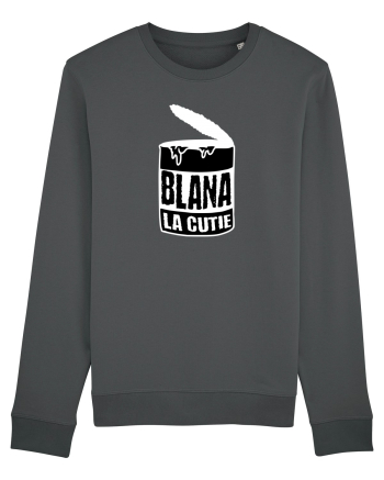 Blana la cutie Anthracite