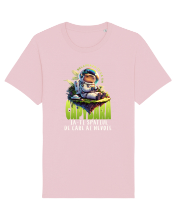 Capybara - relaxare, ia-ți spațiul de care ai nevoie  Cotton Pink