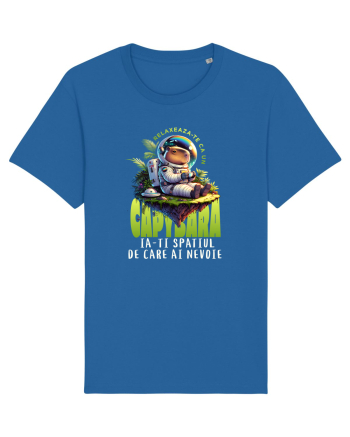 Capybara - relaxare, ia-ți spațiul de care ai nevoie  Royal Blue