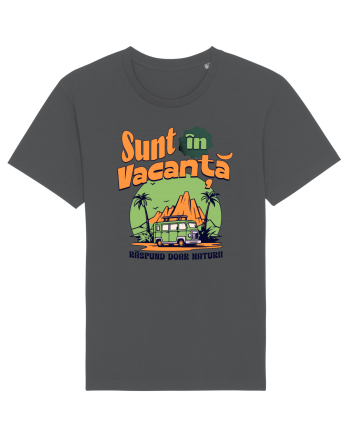 De concediu - Sunt in vacanta, răspund doar naturii Anthracite