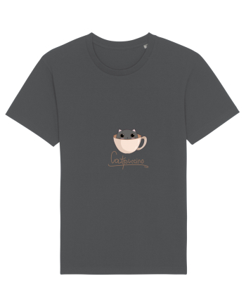 Pisică catppuccino  Anthracite