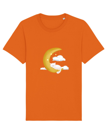Pisică cu lună Bright Orange
