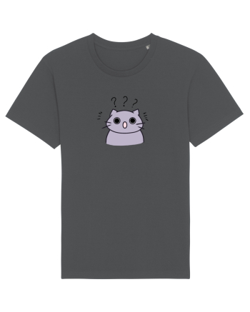 Surprised cat  Anthracite