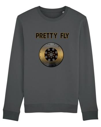 Fly Anthracite