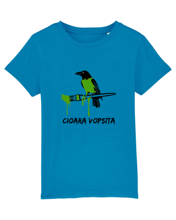 Cioara vopsita Azur