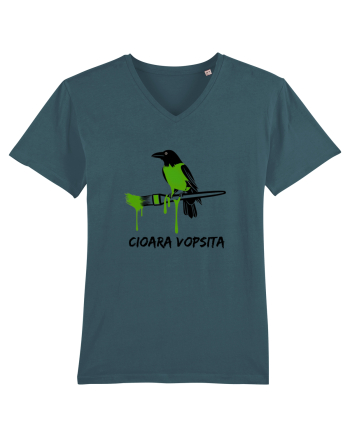 Cioara vopsita Stargazer