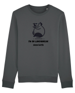 foodie I’m On Lunchbreak Since Birth  Bluză mânecă lungă Unisex Rise