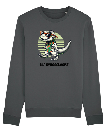 „Lil' Dynocologist” Anthracite
