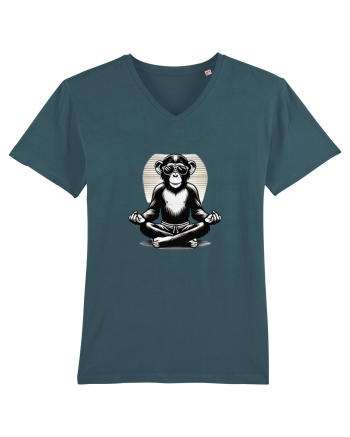 Chill chimp  Stargazer