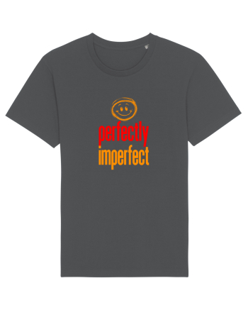 PERFECTLY IMPERFECT - PERFECT (A) ASA CUM SUNT Anthracite