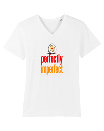 PERFECTLY IMPERFECT 3- PERFECT (A) ASA CUM SUNT  White