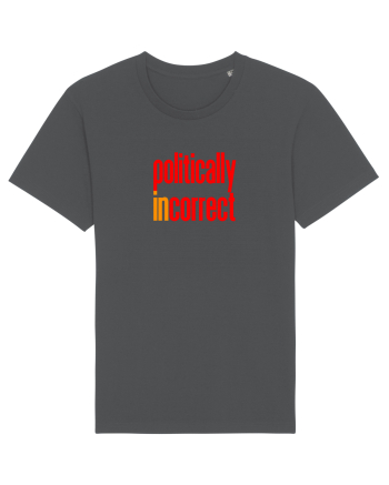 POLITICALLY  inCORRECT Anthracite