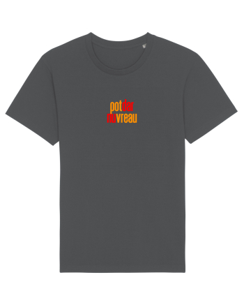 POT, DAR NU VREAU Anthracite