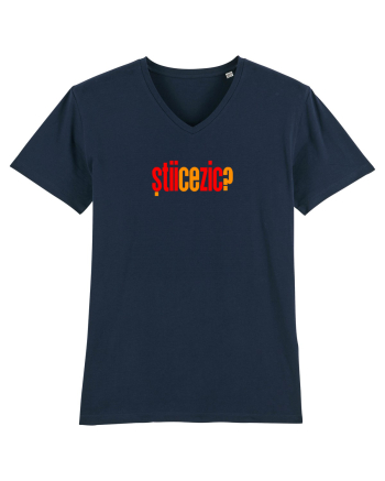 STII CE ZIC? French Navy