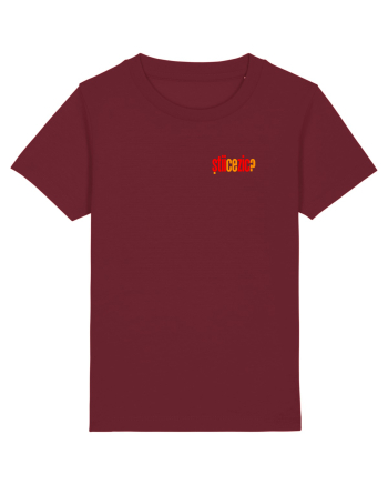 STII CE ZIC? 2 Burgundy