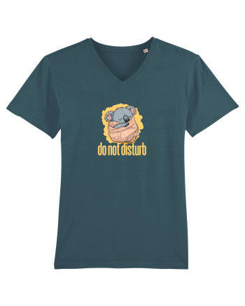 DO NOT DISTURB - Koala Stargazer