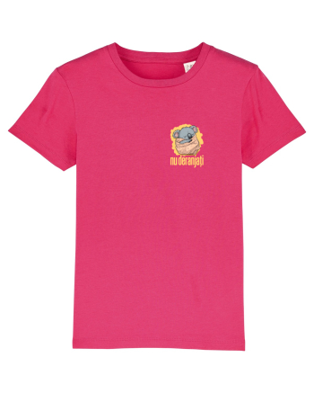 NU DERANJATI - Koala 2 Raspberry