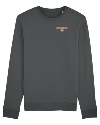 DON`T DISTURB UNTIL MONDAY 2 - pisica in hamac Anthracite
