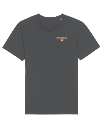 DON`T DISTURB UNTIL MONDAY 2 - pisica in hamac Anthracite