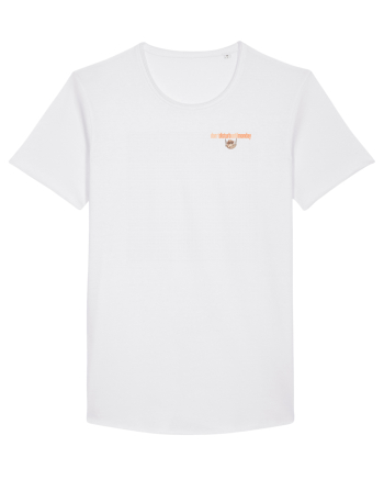 DON`T DISTURB UNTIL MONDAY 2 - pisica in hamac White
